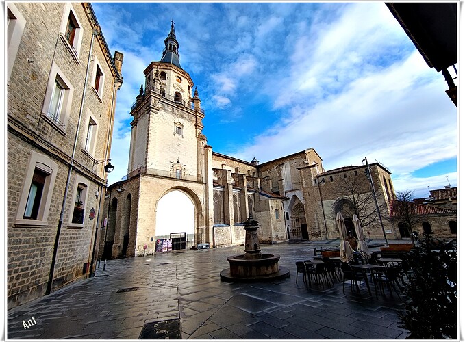 31 IMG_20260201_101629