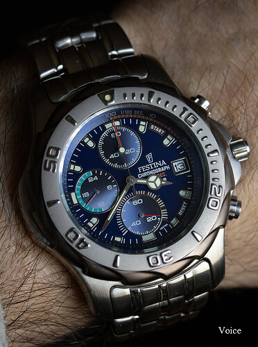 Festina Nautilus Vintage