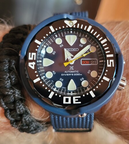 20251221_110812_copy_1344x1498