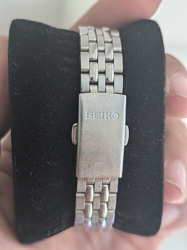 1000153113