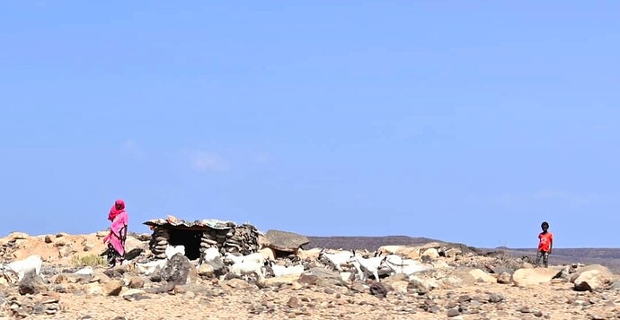 Screenshot_20250930_130001_Photos