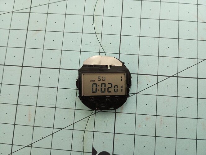 1000080613