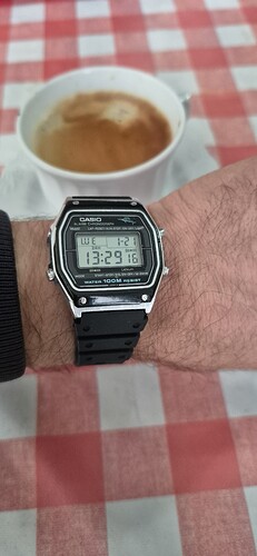 1000131466