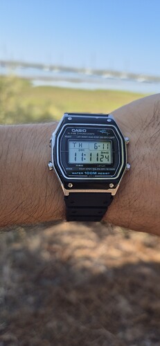 1000167183