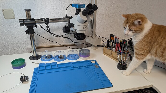 PXL_20260129_201422089