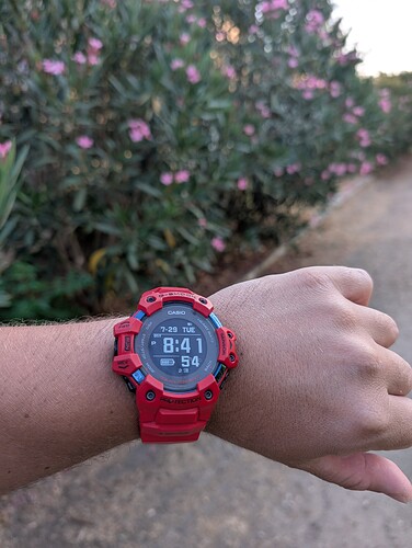 PXL_20250729_184155639.MP