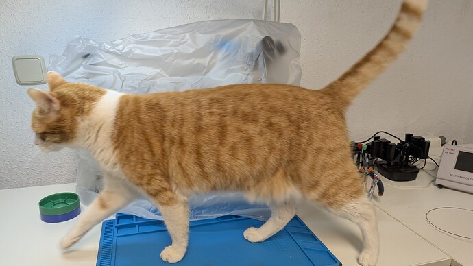 PXL_20260129_201321724