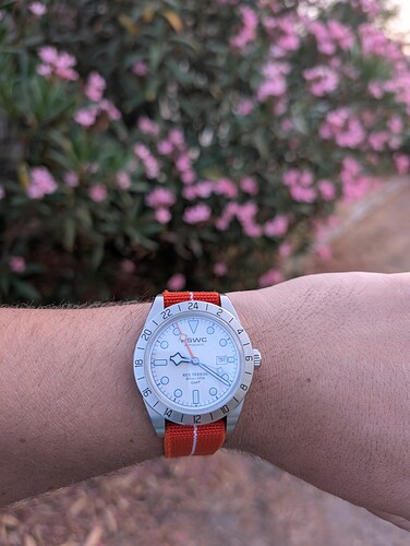 PXL_20250702_192311361.MP