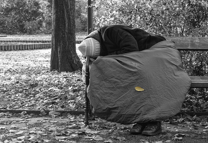 falling-leaf-i_10544907966_o