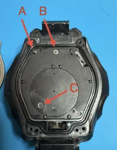 1000455391