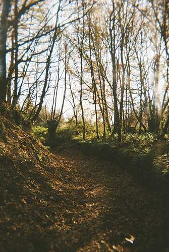 IMG-20251022-WA0018