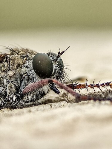 FB_IMG_1769335816492