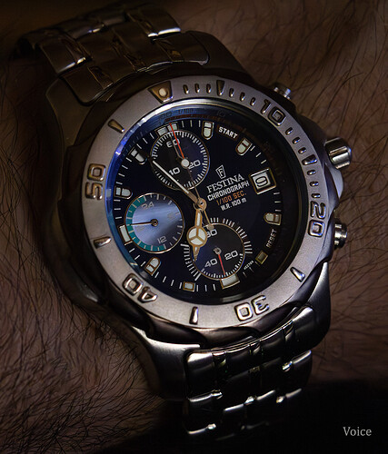 Festina Nautilus 3