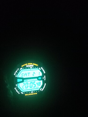 1000031233