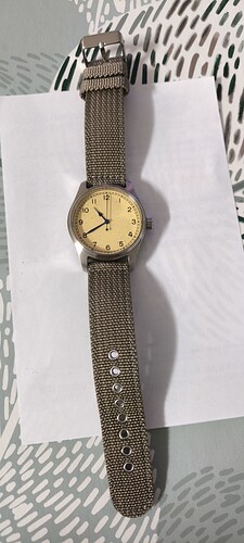 1000053647