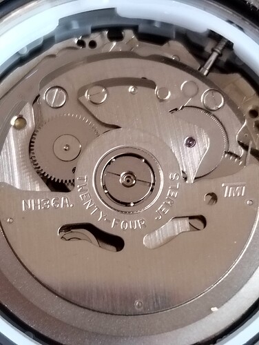 1000039342