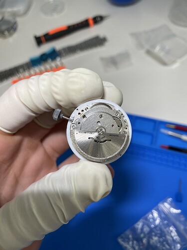 IMG_7429E7A3-070E-4B91-9FA3-09430DE1A66E