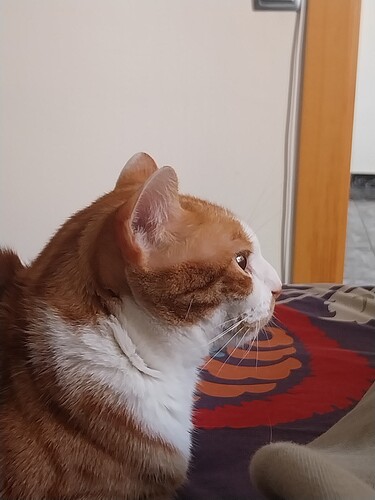 17620783183727667592153712633138