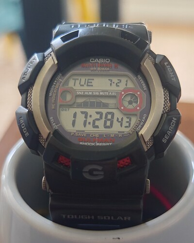 1000161347