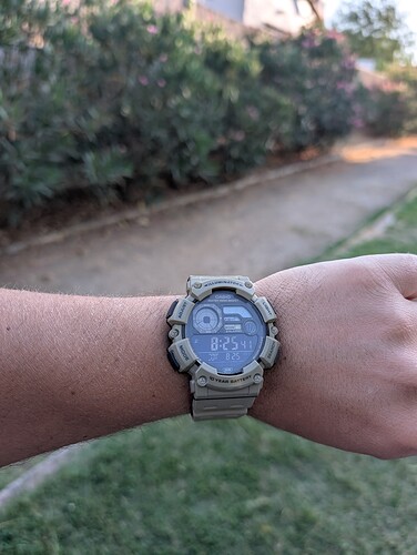 PXL_20250724_182631993.MP