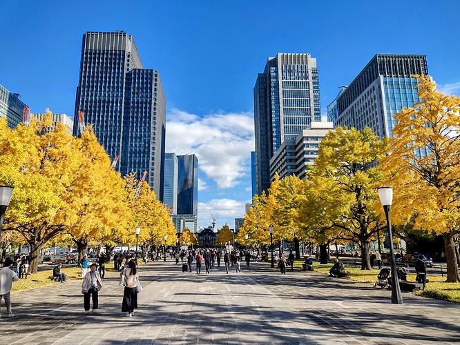 IMG_20251122_134045371_HDR~2