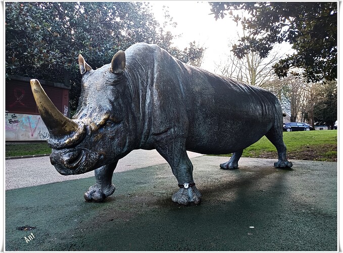 49 E12 IMG_20260202_092133