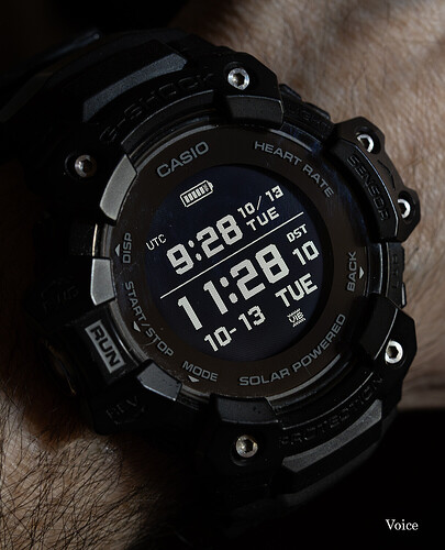 GBD-H1000