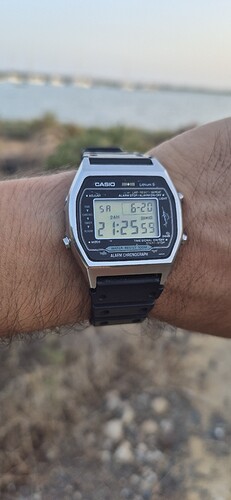 1000170043