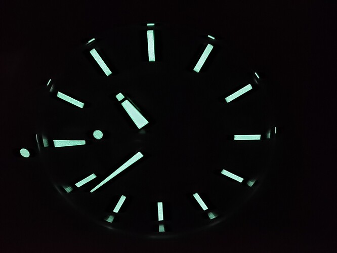 1000051021