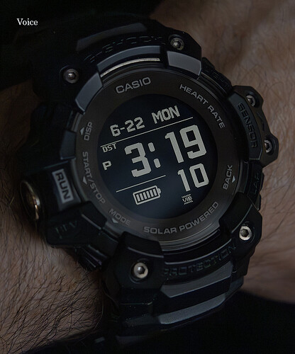 GBD-H1000