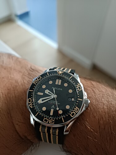 17550707275578251728969625242956