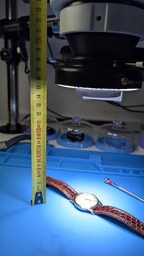 PXL_20260131_190820313