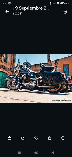 IMG_20241110_004046