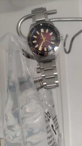 17325308661188447041404022898127