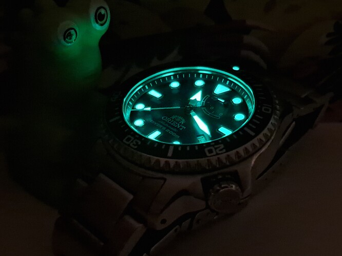 1000041595