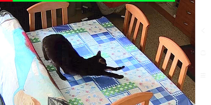 Screenshot_20241115-141914