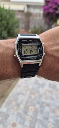 1000156663