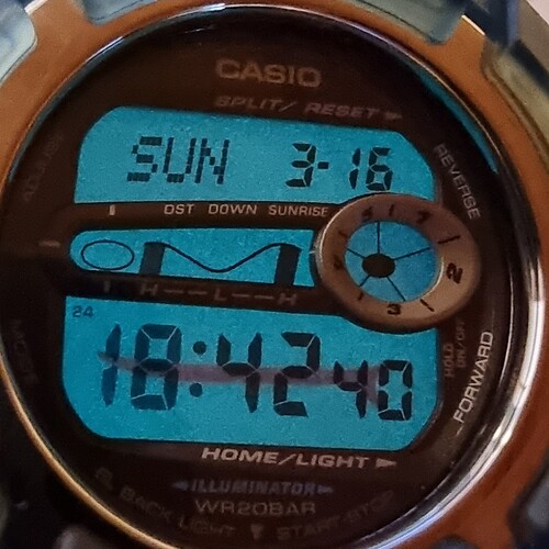 1000423176