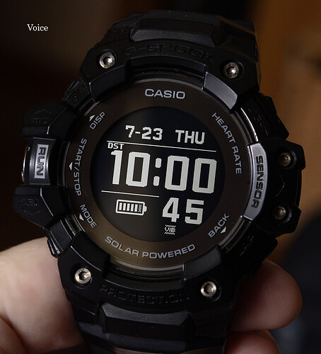 GBD-H1000 GPS