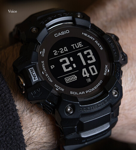 GBD-H1000 GPS