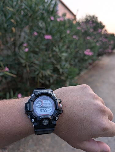 PXL_20250730_185544927.MP