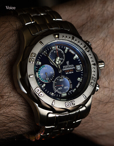 Festina Vintage Nautilus