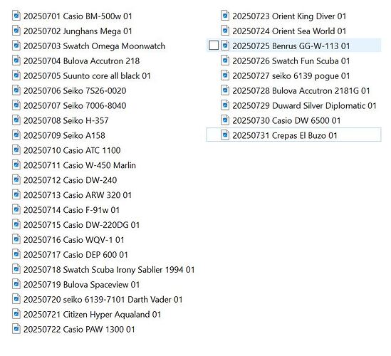 20250731 listado