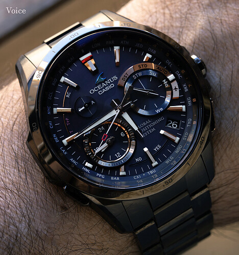 Oceanus Titanio GPS G1000