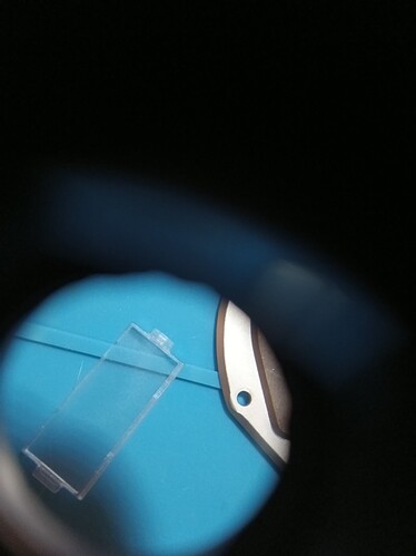 IMG_20260110_001613_454