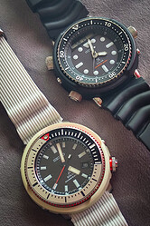 ARNIESEIKO