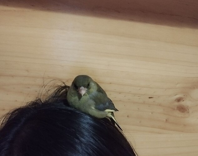 IMG_20250118_224826_458