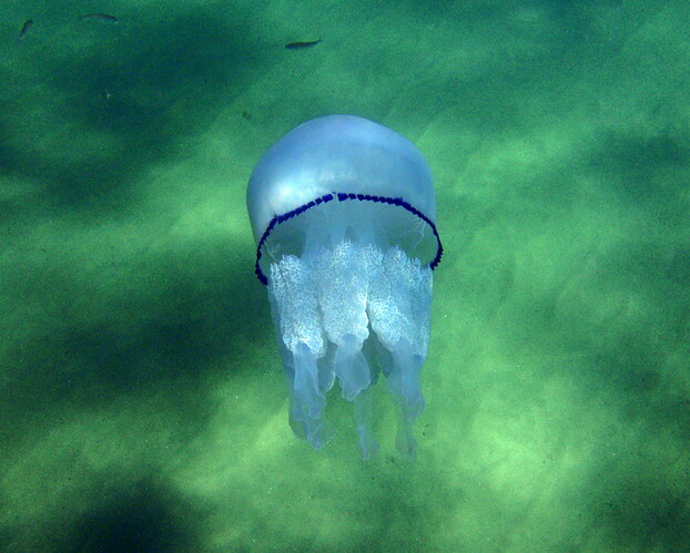 P8150037