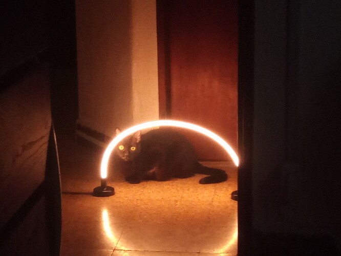 IMG_20251223_181353_596