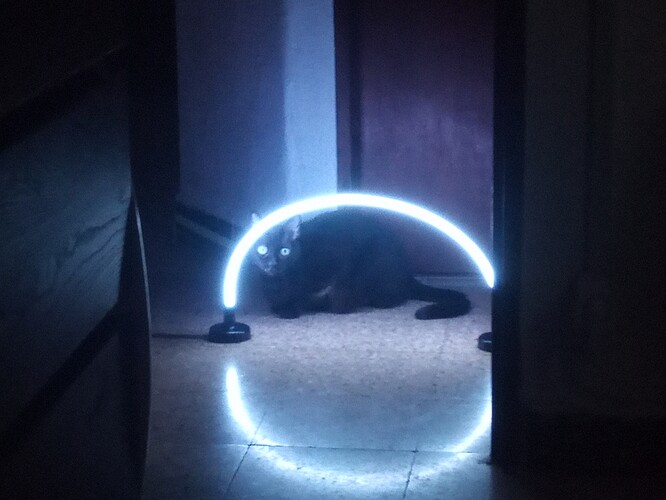 IMG_20251223_181340_255